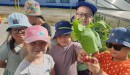 Огород в детском саду - мир природы и развития для малышей